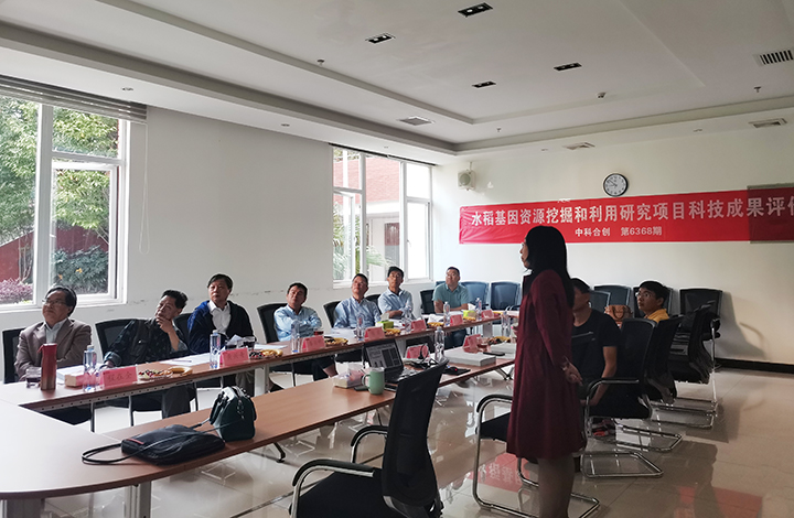 疣粒野生稻基因组解析与重组机制研究 anli.jpg